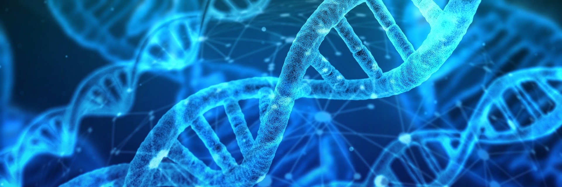 Wanneer mag een DNA-onderzoek worden geëist als een rechter het vaderschap moet vaststellen?